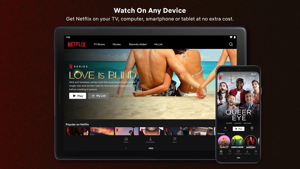 netflix-mod-premium4kall-region-moddroid-4